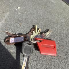 Sleutels, segons s'ha informat a iLost