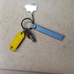 鍵 がiLostで Qbuzz GD Groningen Peizerweg によって報告されました