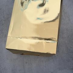 Torba, zgłoszono przez Arriva Achterhoek-Rivierenland przy użyciu iLost