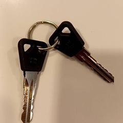 Chiave, come riportato da RAI Amsterdam utilizzando iLost