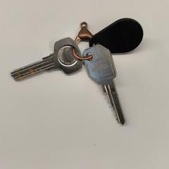 İLost kullanarak Stad Hasselt tarafından bildirildiği gibi Anahtarlar