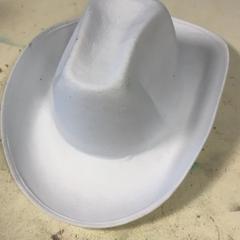 Cowboyhoed, jak nahlášeno Artis pomocí iLost