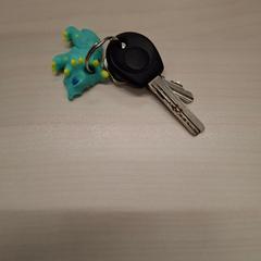 Kulcstartó, amint azt Arriva Limburg Zuid az iLost segítségével jelentette.