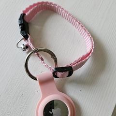 AirTag met roze halsband (poes), come riportato a iLost
