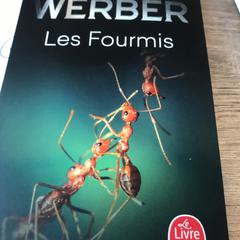 Boek, segons ha informat Van der Valk Hotel Veenendaal mitjançant iLost