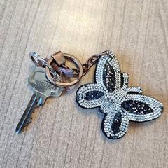 Kľúč, ako bolo nahlásené Qbuzz DMG pomocou iLost