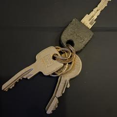 Sleutelbos, como reportado ao iLost