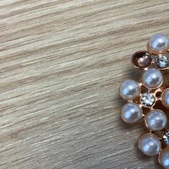 Broche, a été signalé par Diakonessenhuis Utrecht utilisant iLost