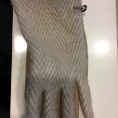 Handschoen, as reported by RAI Amsterdam using iLost
