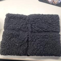 Hajszalag Zwart teddy, amint azt Burgers' Zoo az iLost segítségével jelentette.