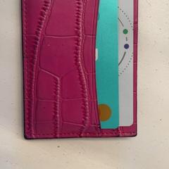 지갑 Shepherd, iLost를 사용하여 GVB에 보고됨