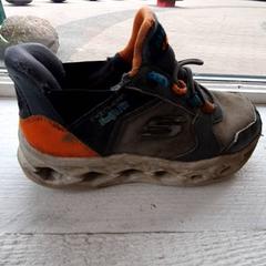 Zapato Grijs, oranje, segundo informou DierenPark Amersfoort usando iLost