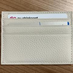 Billeteras L van Kuik, ha sido reportado por Connexxion Amstelland-Meerlanden Schiphol Zuid con iLost