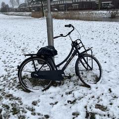 Damesfiets, ha sido reportado a iLost