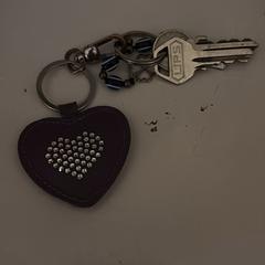 sleutelbos, amint azt az iLostnak jelentették.