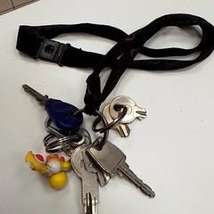 Chaveiro, segundo informou ilévia usando iLost