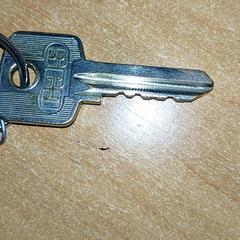 Giltzak, gisa salatu by Regio Antwerpen - Brussel iLost erabiliz