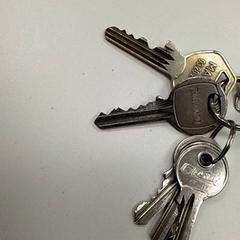 Clau, segons ha informat ilévia mitjançant iLost