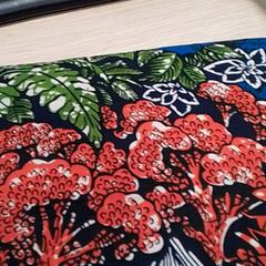 Doek, amint azt Qbuzz Fryslân az iLost segítségével jelentette.