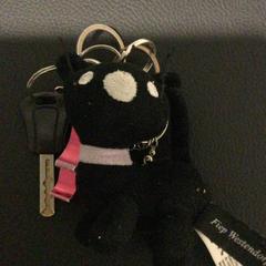 キーホルダー sleutels がiLostで IKEA Wilrijk によって報告されました