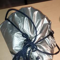 Bolsa, ha sido reportado por Regio Antwerpen - Brussel con iLost