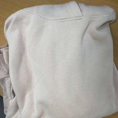 Hettegenser lichtroos, som rapportert av VITAZ campus Sint-Niklaas ved bruk av iLost