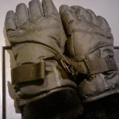 Handschuhe, gemeldet von SnowWorld Landgraaf über iLost