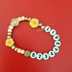 Polsera, segons ha informat DierenPark Amersfoort mitjançant iLost