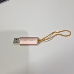 Usb-stick rose، كما تم الإبلاغ عنه بواسطة Stad Hasselt عبر iLost