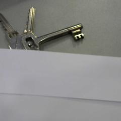 열쇠 huis Sleutel, iLost를 사용하여 Walibi Holland에 보고됨