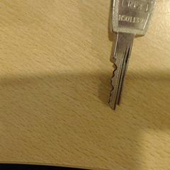 Llave, ha sido reportado por Walibi Holland con iLost