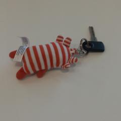 Clau, segons ha informat Arriva Limburg Zuid mitjançant iLost