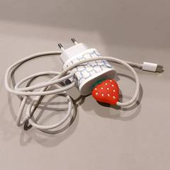 Ladegerät, gemeldet von TU/e - Receptie Neuron über iLost