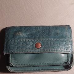 Groene portemonnee, segons s'ha informat a iLost