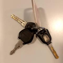 Llavero, ha sido reportado por Arriva Limburg Noord con iLost