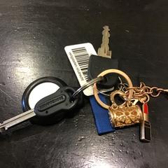 Chiave, come riportato da Qbuzz U-OV utilizzando iLost