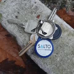 Keys sleutels sleutelbos an iLost gemeldet