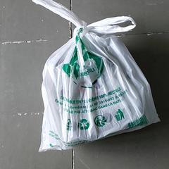 バッグ - Plastiek tas がiLostで Regio Oost-Vlaanderen によって報告されました