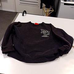 セーター がiLostで Vrije Universiteit Amsterdam によって報告されました