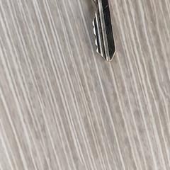 Schlüssel, gemeldet von Regio Antwerpen - Brussel über iLost