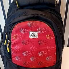 Rugtas, zoals gemeld door U-OV Amersfoort met iLost