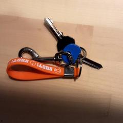 Keys sleute,s, as reported by LUMC using iLost