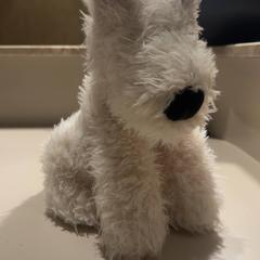 おもちゃ がiLostで Van der Valk Hotel Woerden によって報告されました