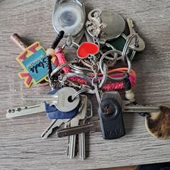 Bos sleutels, segons s'ha informat a iLost