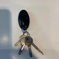 İLost kullanarak Gemeente Amsterdam tarafından bildirildiği gibi Anahtar