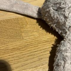 Cuddly rabbit konijn, as reported by Designer Outlet Roermond using iLost