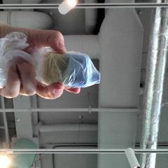 Vapear, ha sido reportado por The Tire Station Hotel con iLost