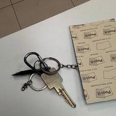 Llavero, ha sido reportado por ilévia con iLost