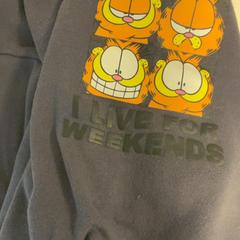 스웨터 Paars garfield, iLost를 사용하여 Artis에 보고됨