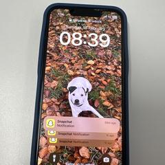 Iphone، كما تم الإبلاغ عنه عبر iLost